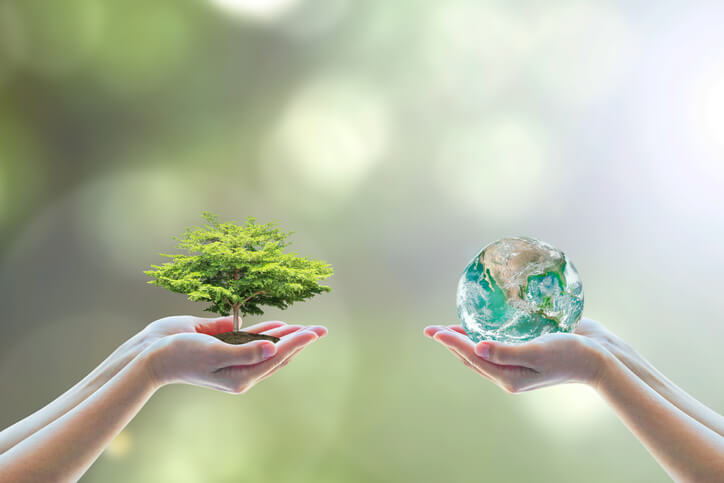 Environmental consciousness is a key lesson in international trade management training